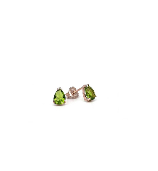Niagara Collection earrings - 12566