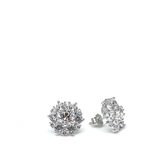 Brilliant Collection Earrings - 16044