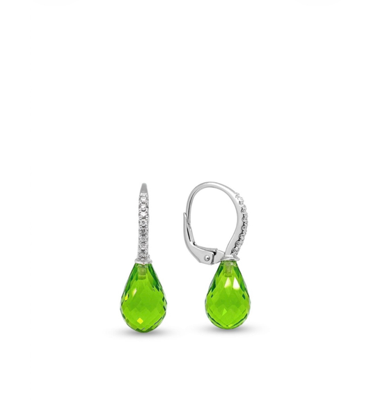 Brazil Collection Earrings - 16098