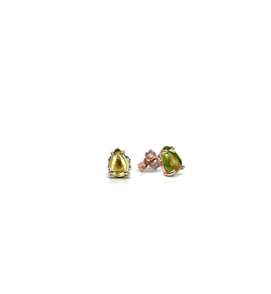 Niagara Collection earrings - 11572