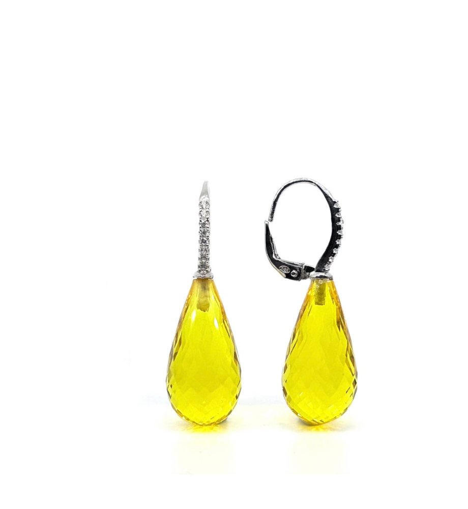 Brazil Collection Earrings - 16095