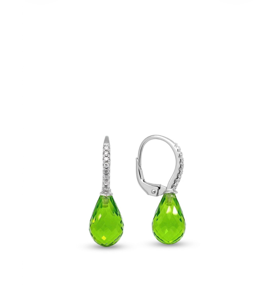 Brazil Collection Earrings - 16098