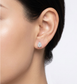 Orecchini collezione Moissanite - ct 2.50